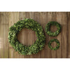 Preserved Boxwood Wreath - 10 Inch Dia.