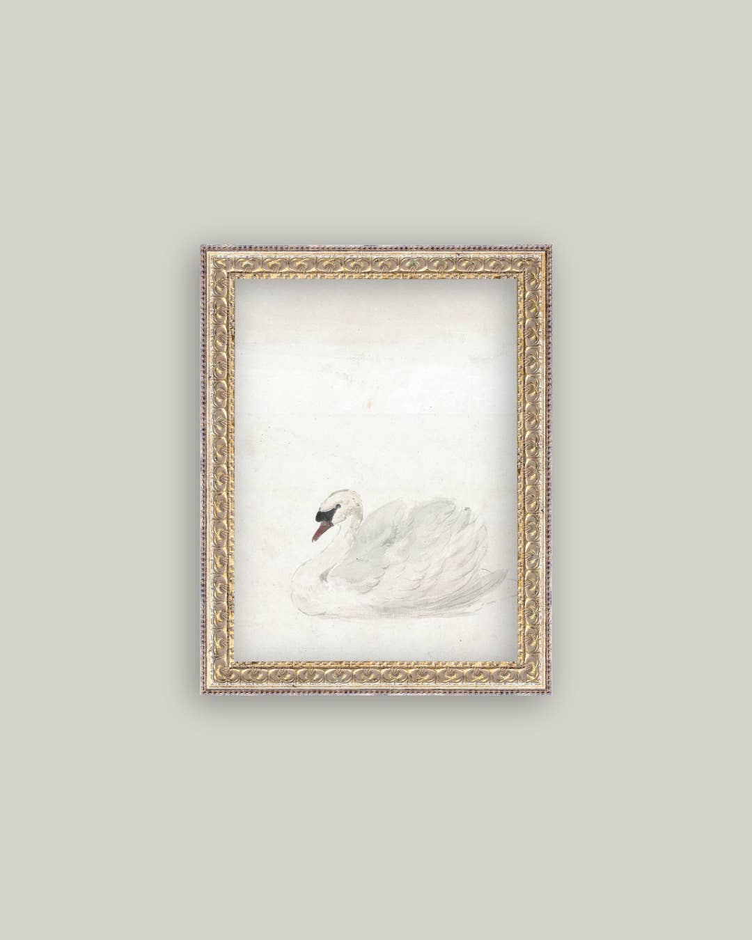 Swan Framed Art