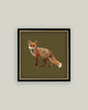 Fox Closeup Framed 5x5