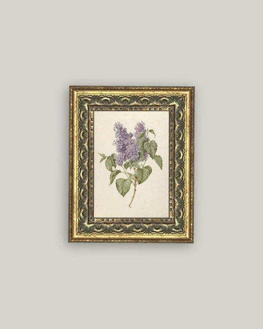 Lilac Branch Framed Antique Art: 5x7
