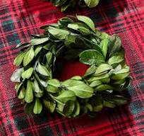 Boxwood Wreath Napkin Rings - S/4