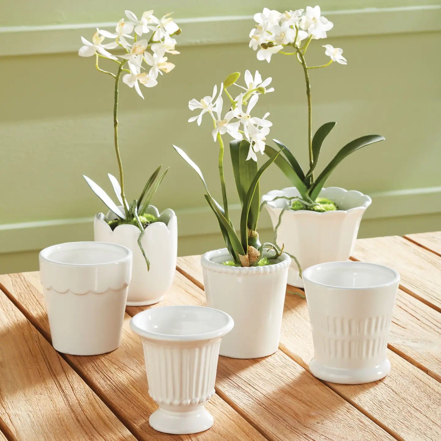 Mirabelle Mini Cachepot