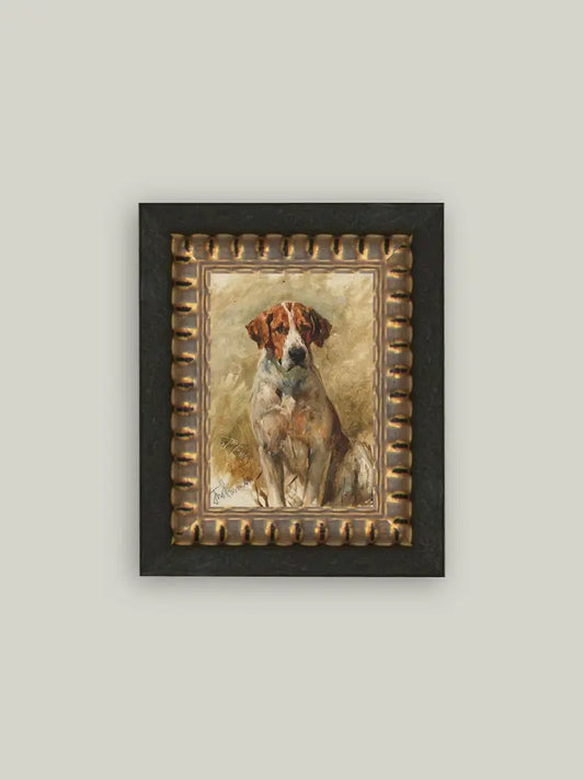 Study Of A Hound Art - 8x10