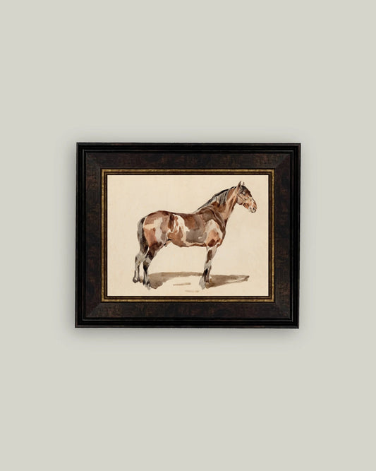 A Bay Horse Art- 12x10