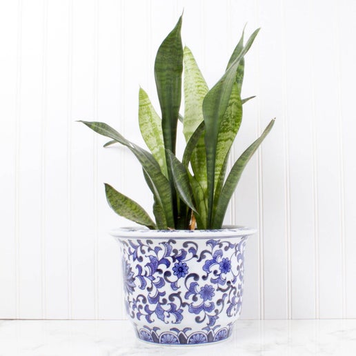 Blue Chinoiserie Planter - Small