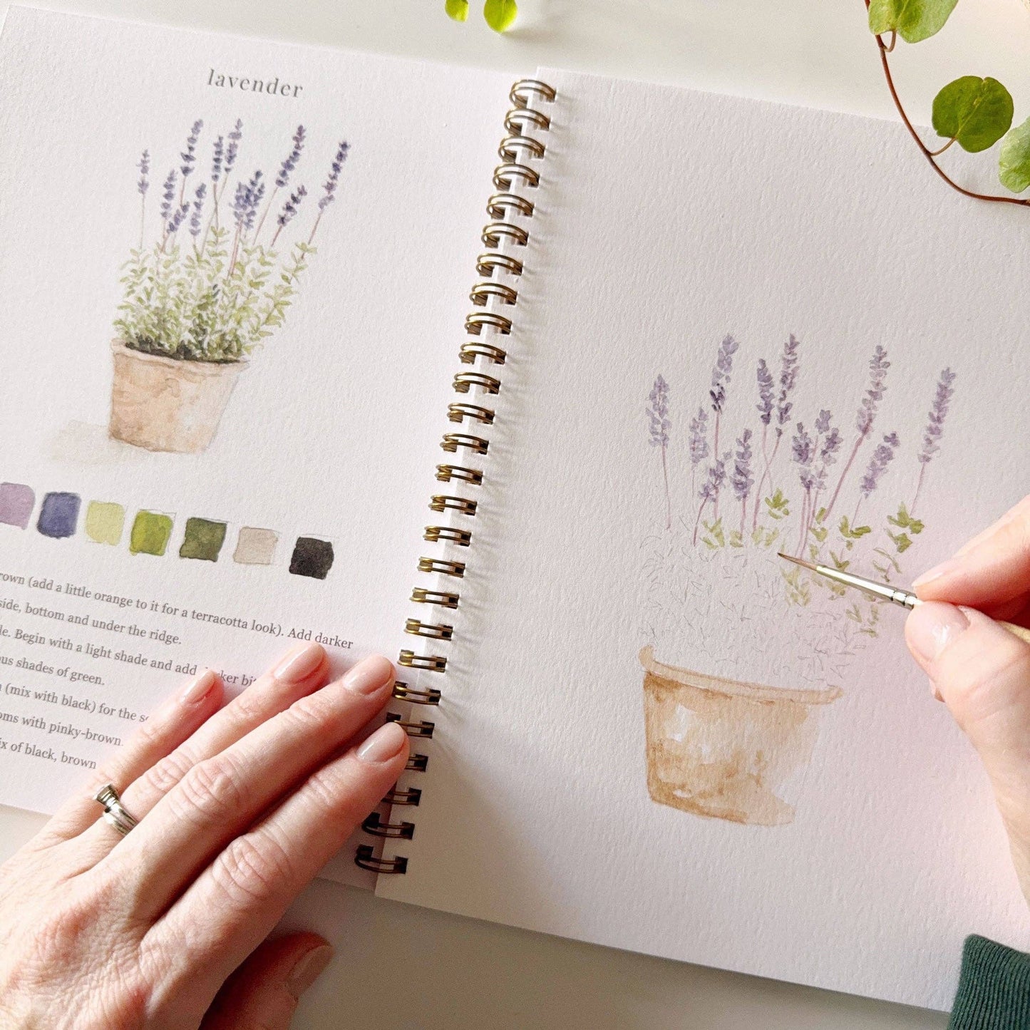 Watercolor Workbook - GARDEN