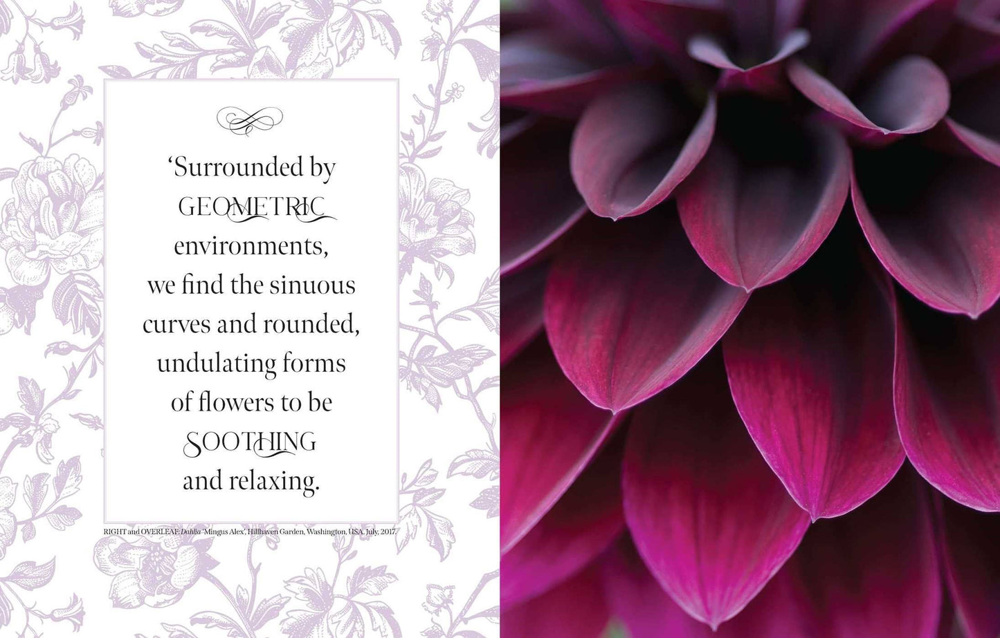 Beautiful Blooms: A Photographic Celebration - Book