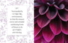 Beautiful Blooms: A Photographic Celebration - Book