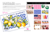 ALL YEAR LONG VOL 3 Inserts 11x17