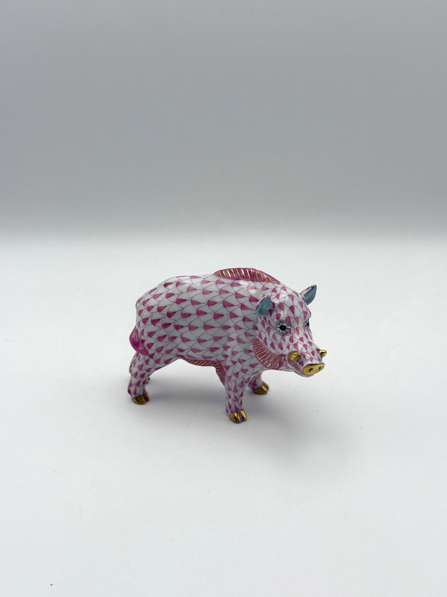 Boar Raspberry