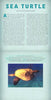 Ocean: A Photicular Book