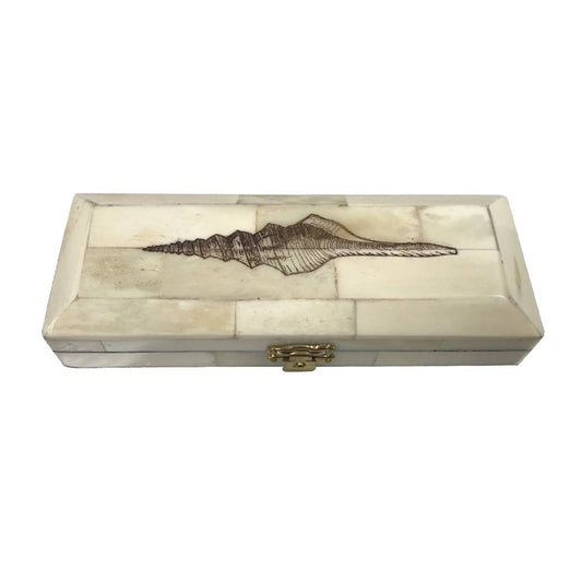 Whelk Scrimshaw Bone Postage Stamp Box - 6.5" L