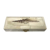 Whelk Scrimshaw Bone Postage Stamp Box - 6.5" L