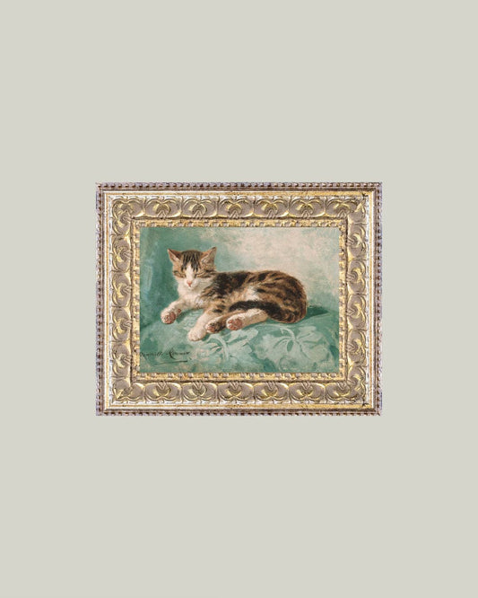 Cat Nap: 7x5