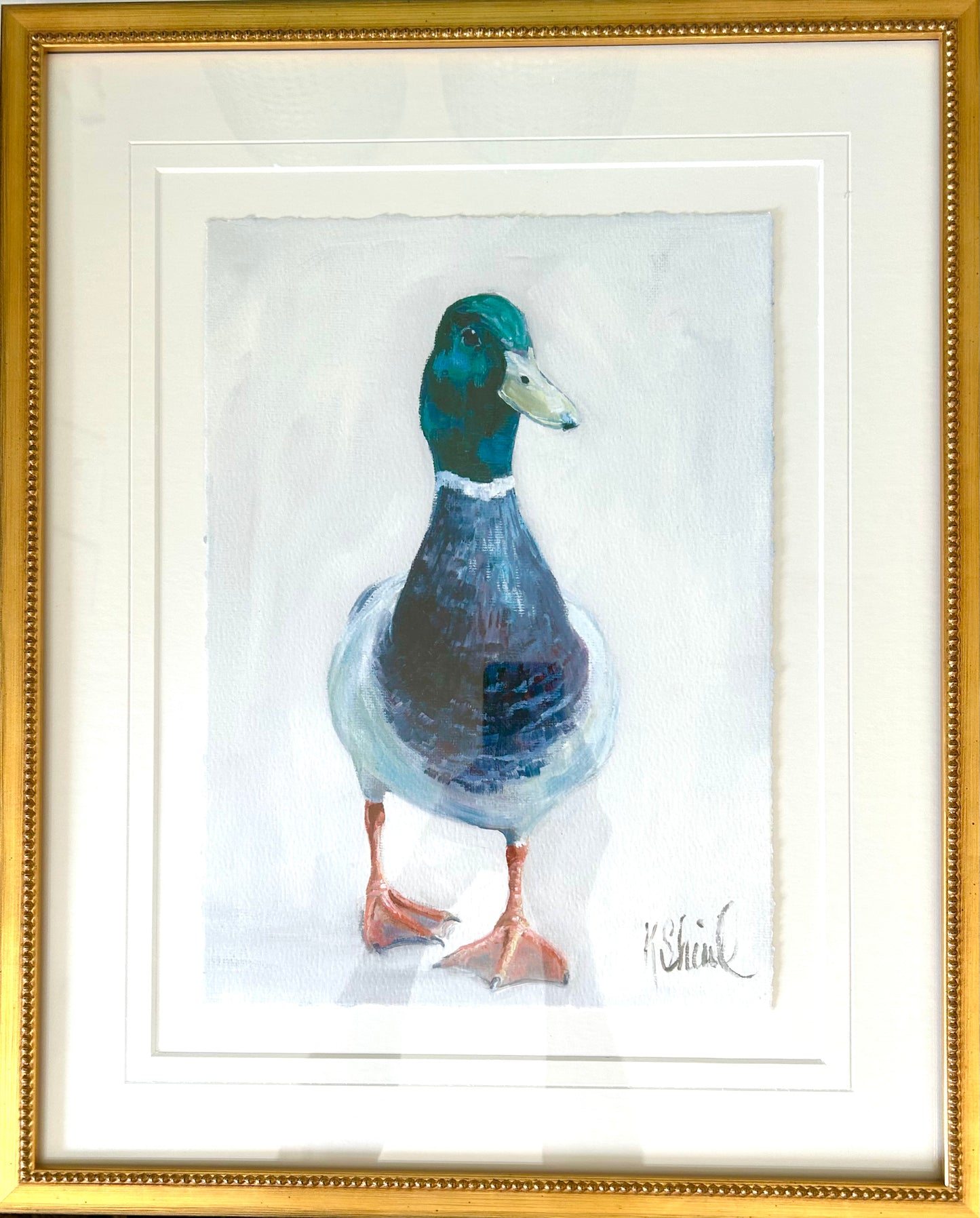 Mallard Walking Towards - Framed Print