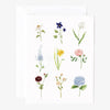 Garden flowers notecards