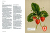 Botanical Bible Hardcover Book