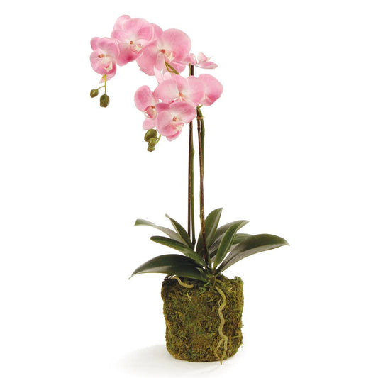 Pink Orchid Drop In 23"