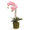 Pink Orchid Drop In 23"