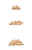 9 oz. Salted Virginia Peanuts