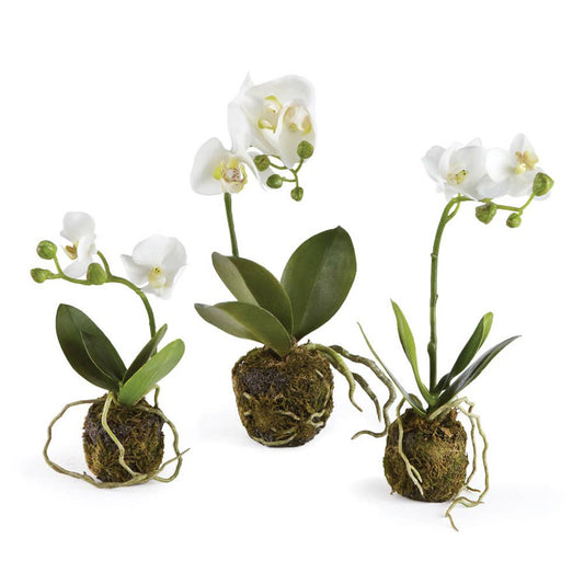 Orchid Drop-In 11"