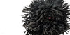 Dogs Hardcover Book
