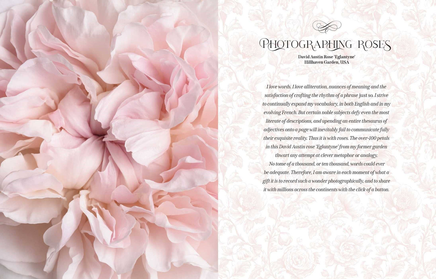 Beautiful Blooms: A Photographic Celebration - Book