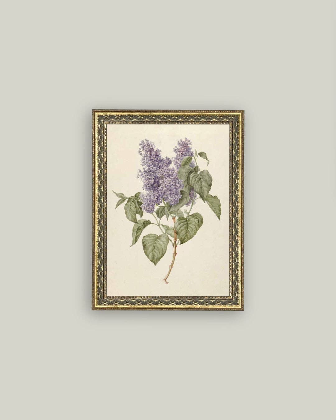 Lilac Branch Framed Antique Art: 5x7