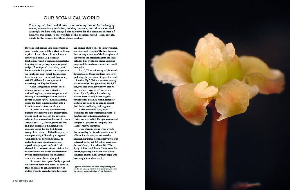 Botanical Bible Hardcover Book