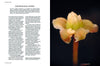 Botanical Bible Hardcover Book