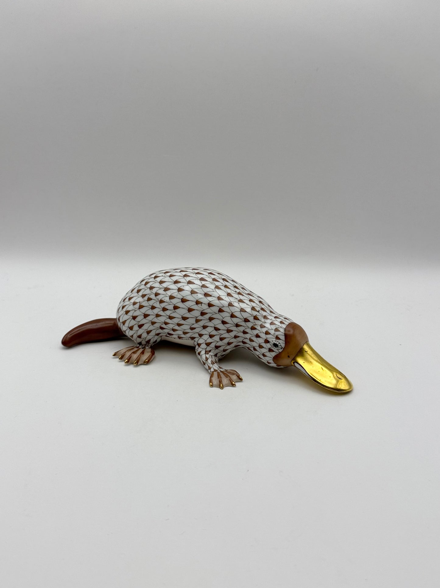 Chocolate Platypus