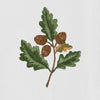 Acorn Hand Towel- Hand Embroidered