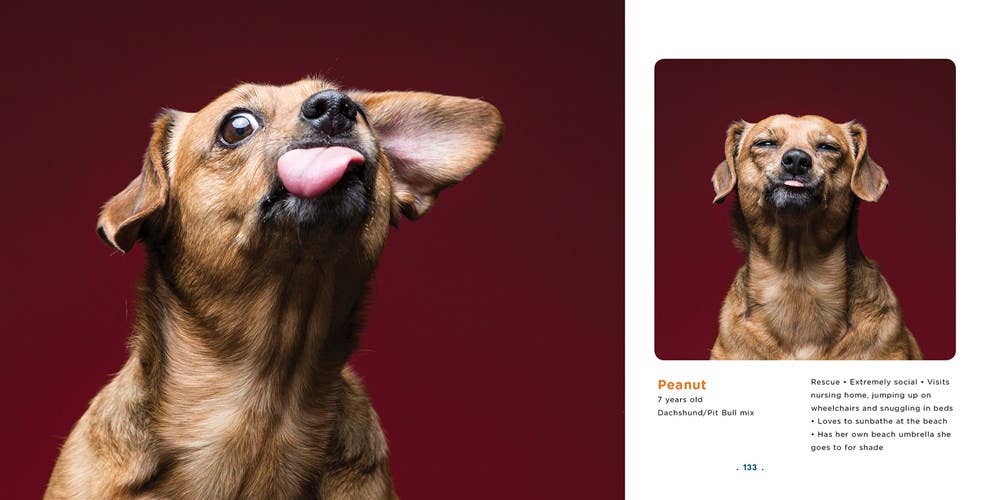 Peanut Butter Dogs - Hardcover Book