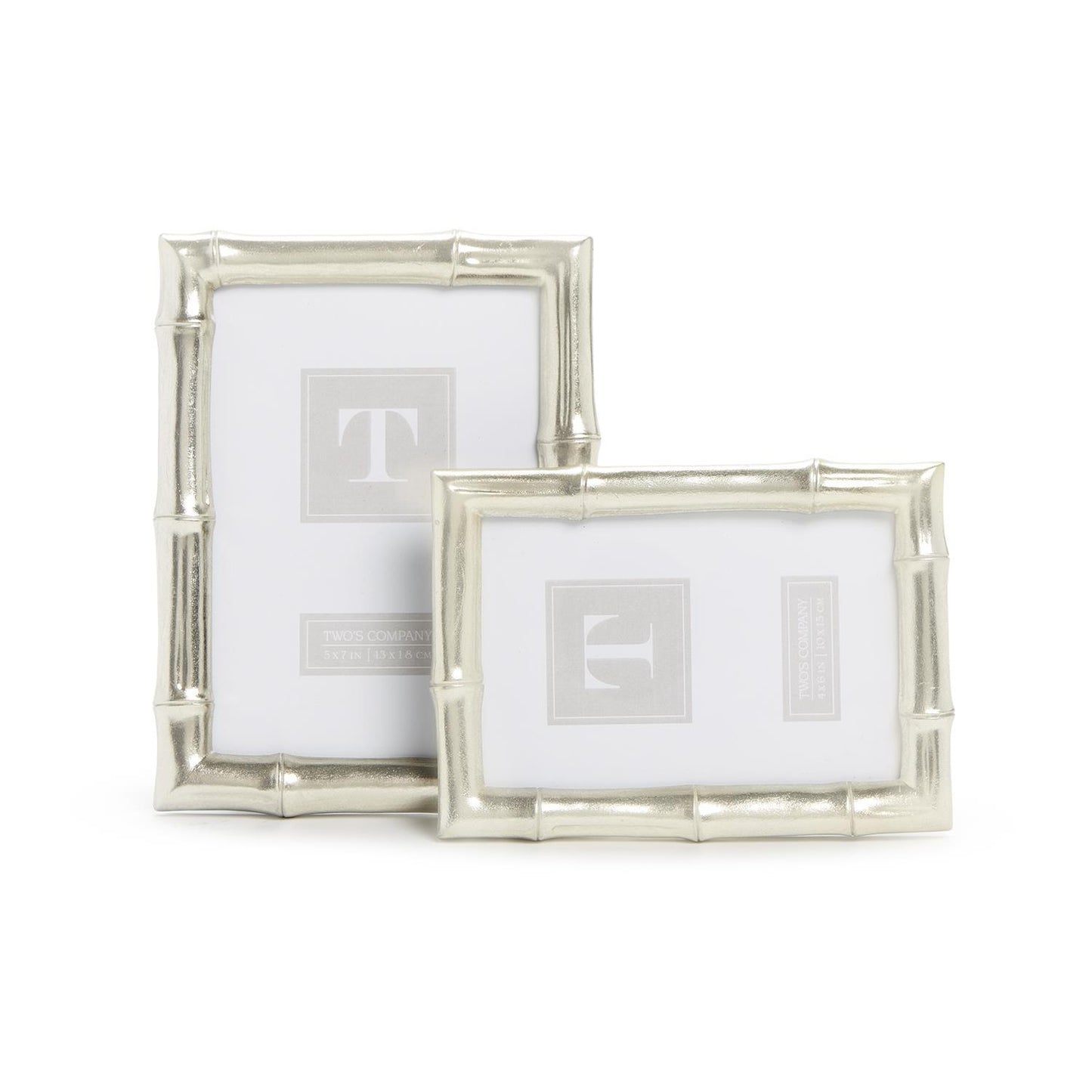 Silver Faux Bamboo Frame