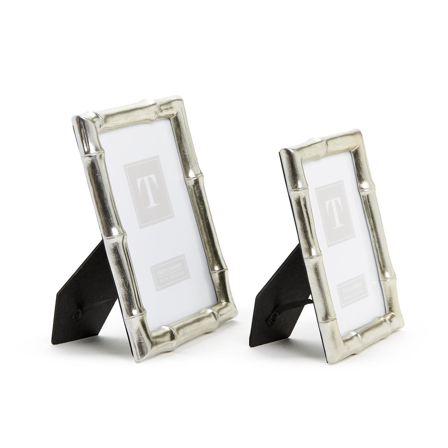 Silver Faux Bamboo Frame