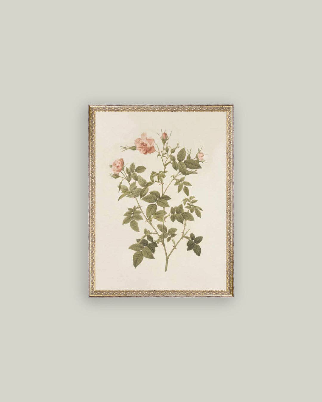 Rosa Framed Antique Art: 8x10