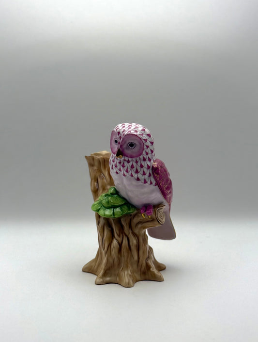 Large Owl on Branch Raspberry