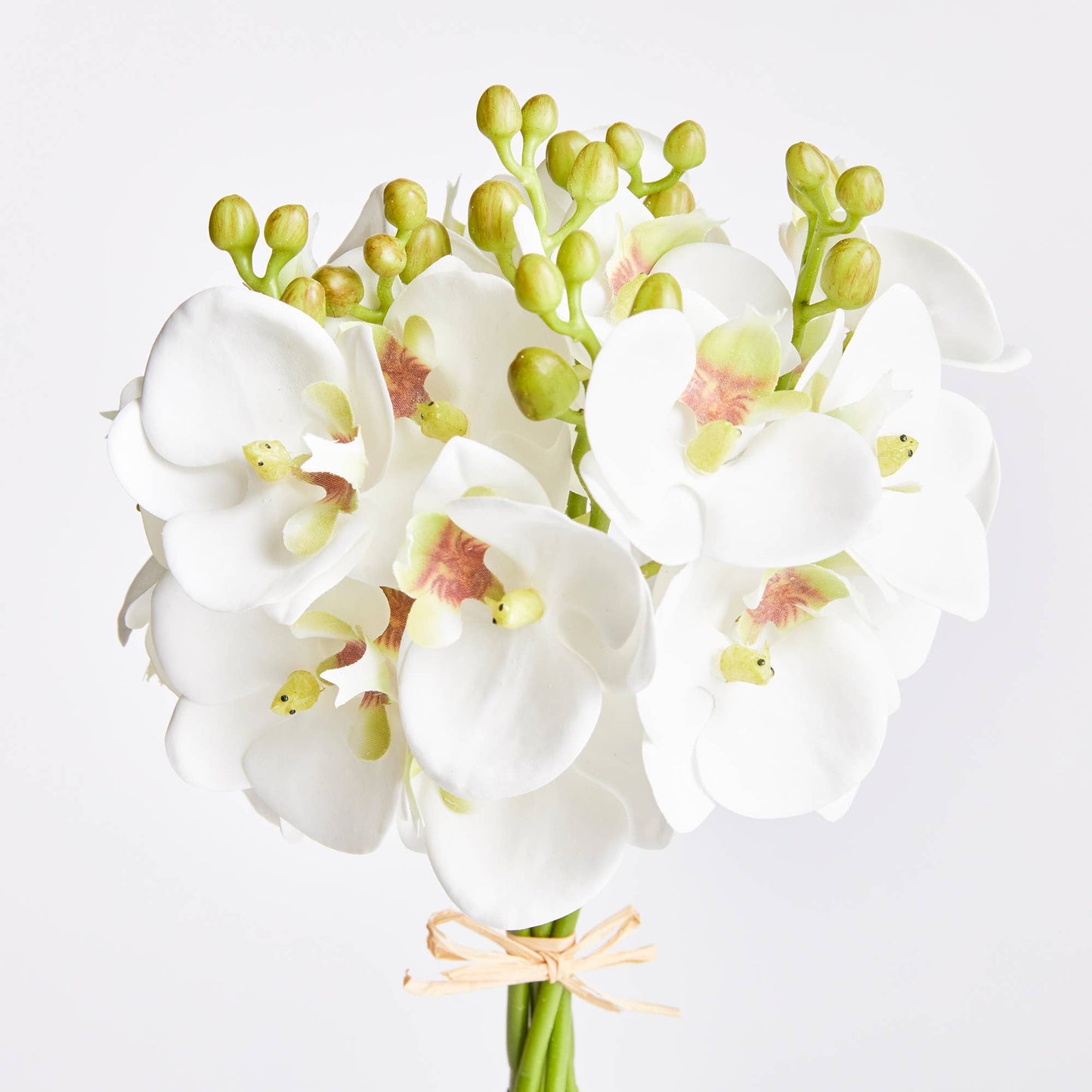 White Orchid Stems 11.5", S/6