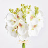 White Orchid Stems 11.5", S/6