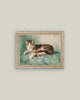 Cat Nap: 7x5