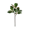 Magnolia Leaf Branch - 24 Inch