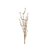 Pussy Willow Branch - 32 Inch