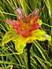 Art Glass Flower Stake Assorted