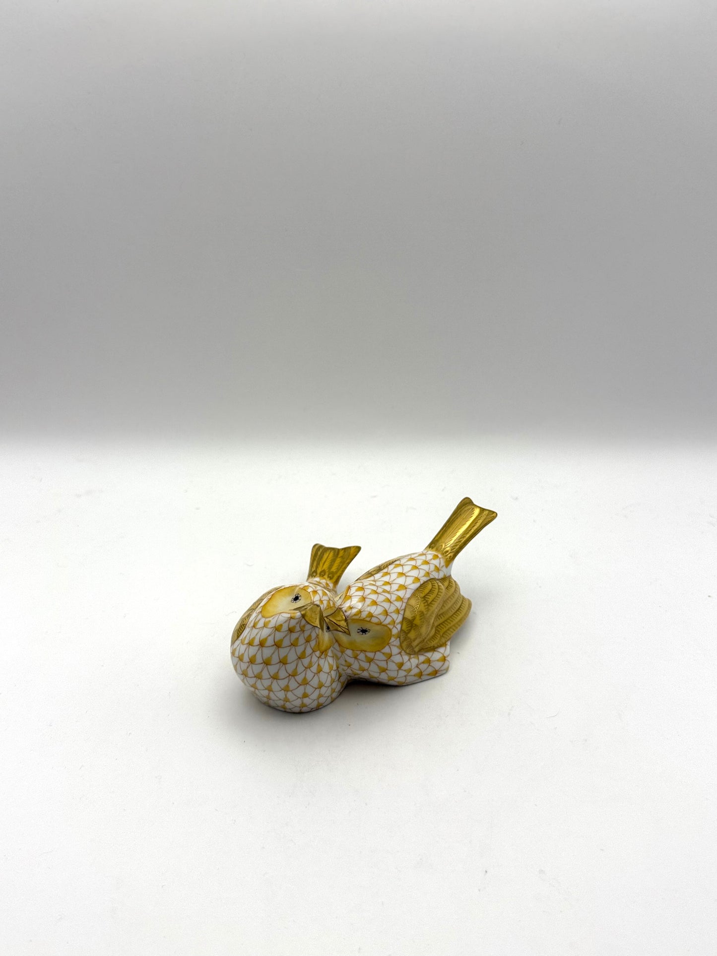 Lovebirds Butterscotch