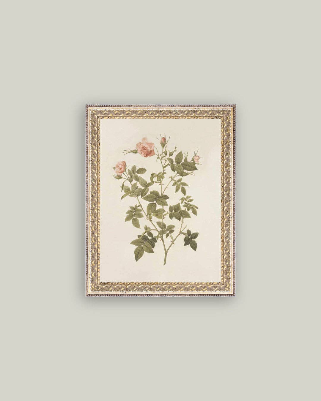 Rosa Framed Antique Art: 8x10