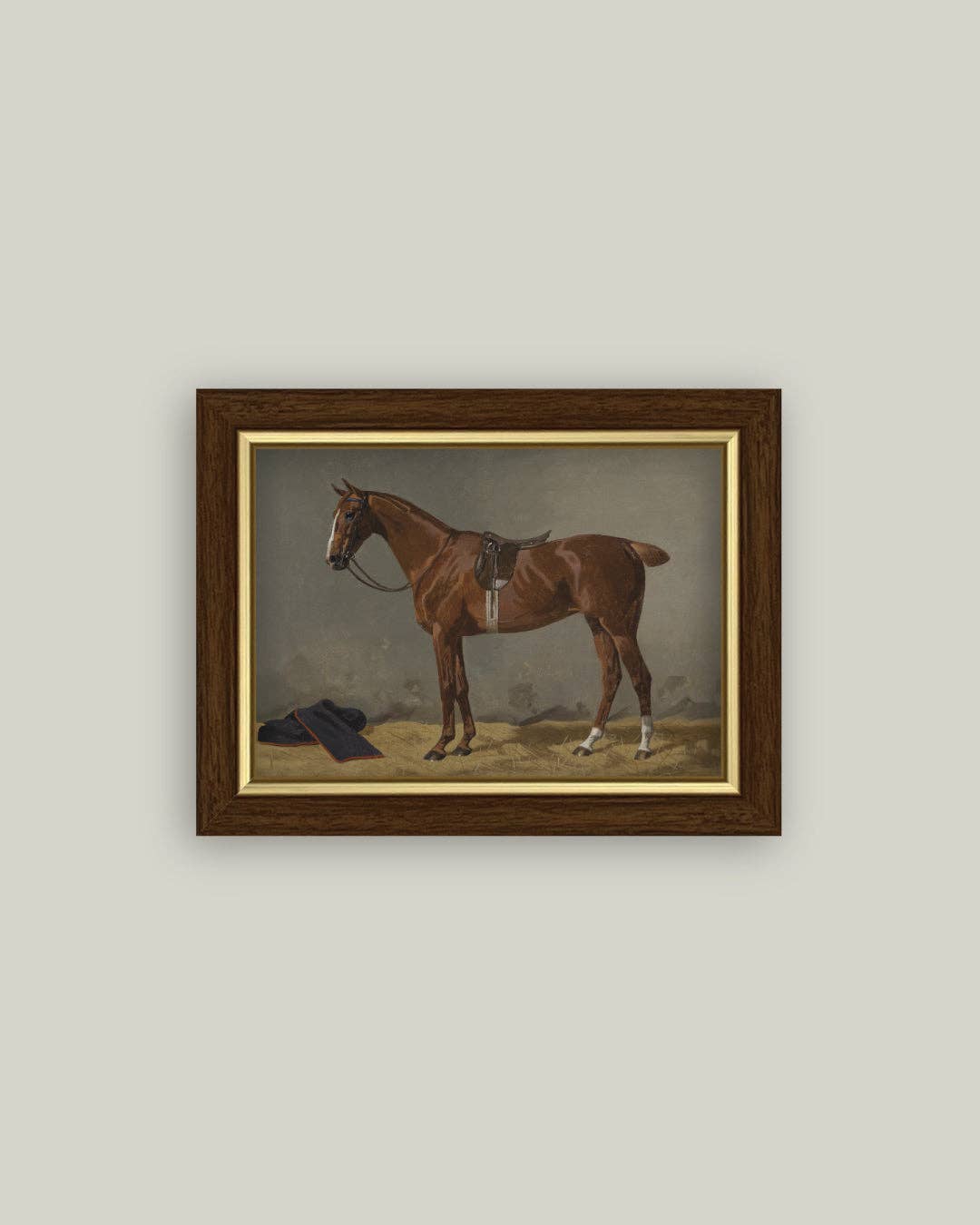 Saddled Brown Horse: 6x4