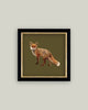 Fox Closeup Framed