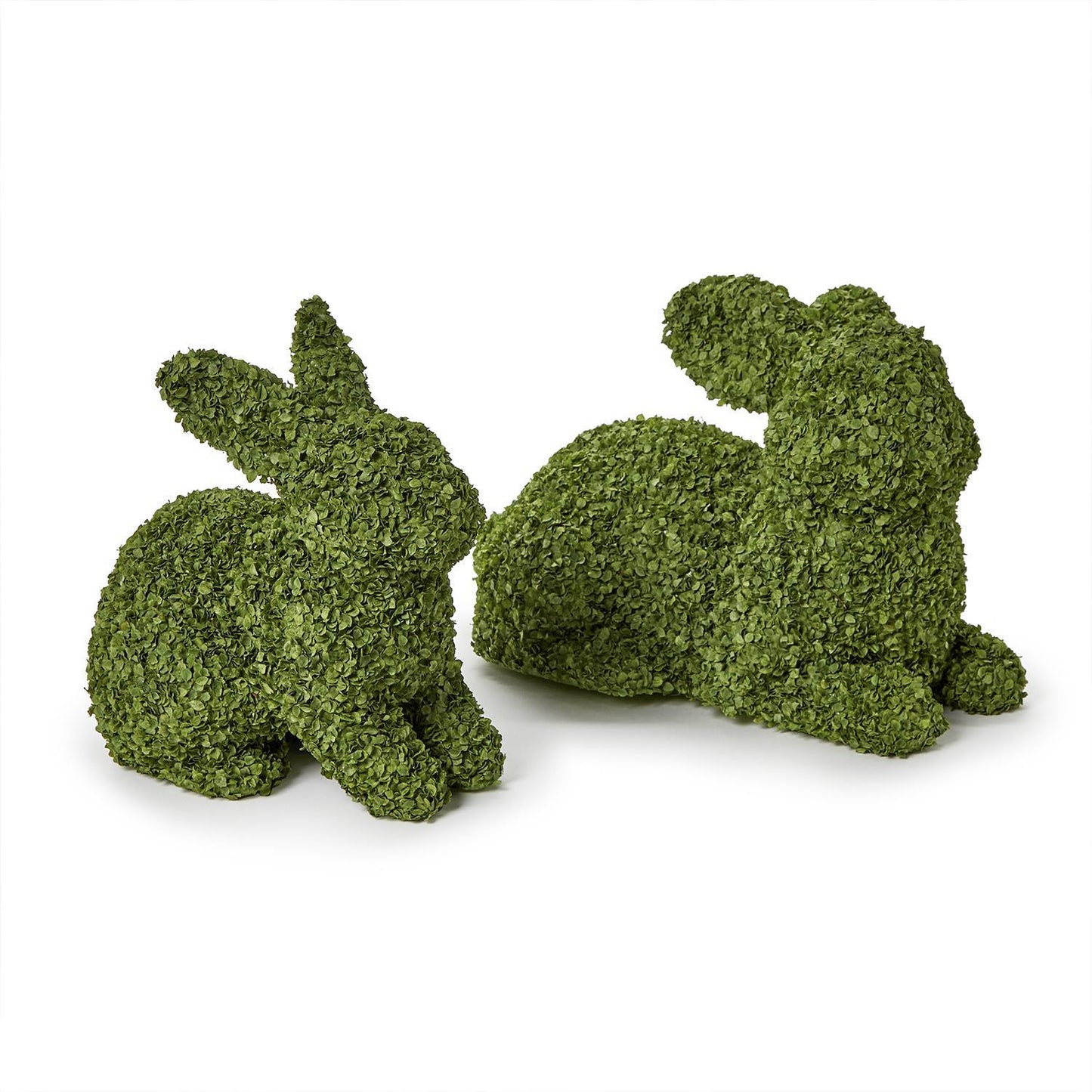 Buckwheat Bunnies