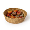 Fall Pumpkin
