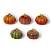 Fall Pumpkin